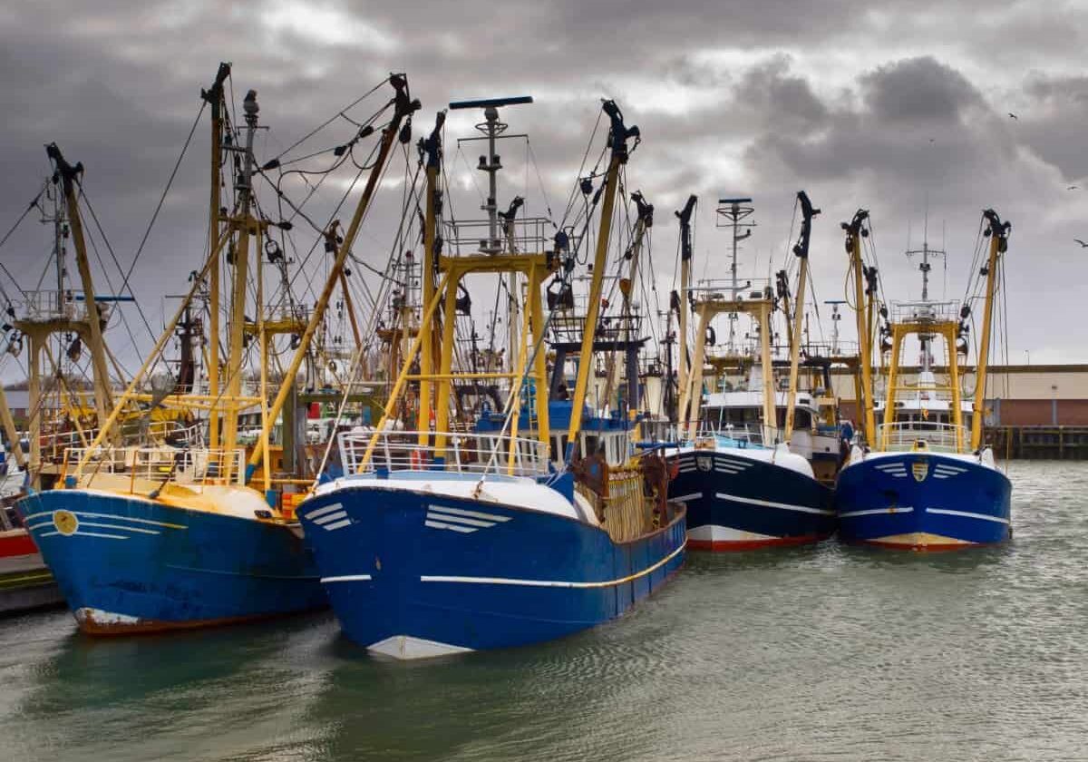 Commercial Fishing Fleets